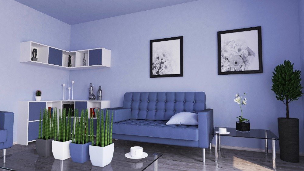 best color for 4 BHK interior designing in Patia